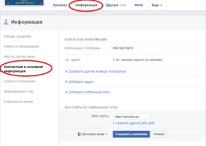 Блок контактная информация